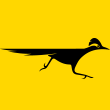 New Mexico Road Runner